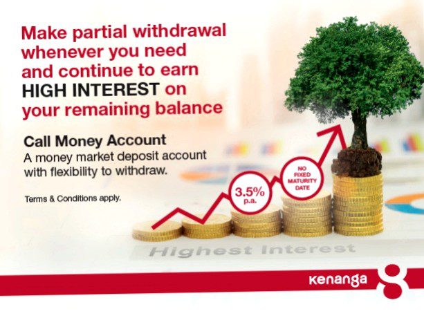 The call money account as a safe investment for the current account