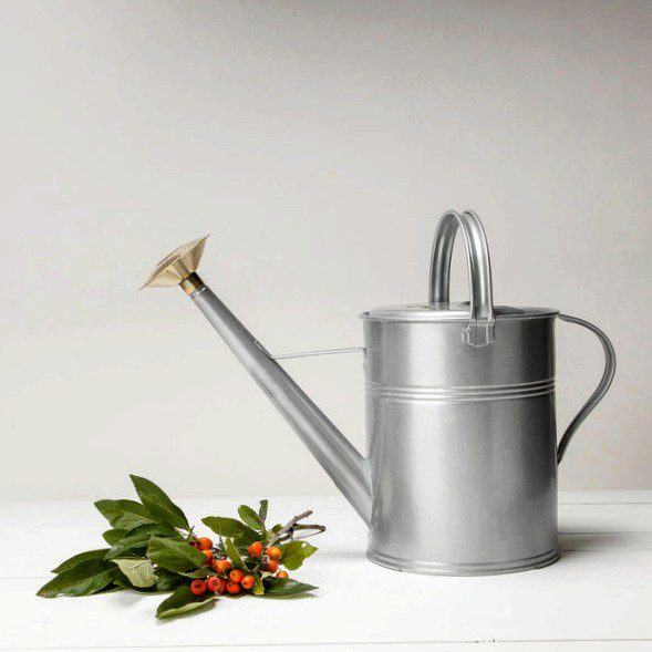 The watering can be done in the shed thanks to modern technology